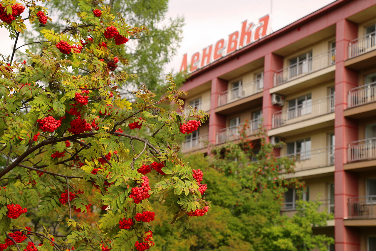 Компания