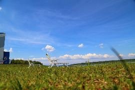 IMG_9261.JPG